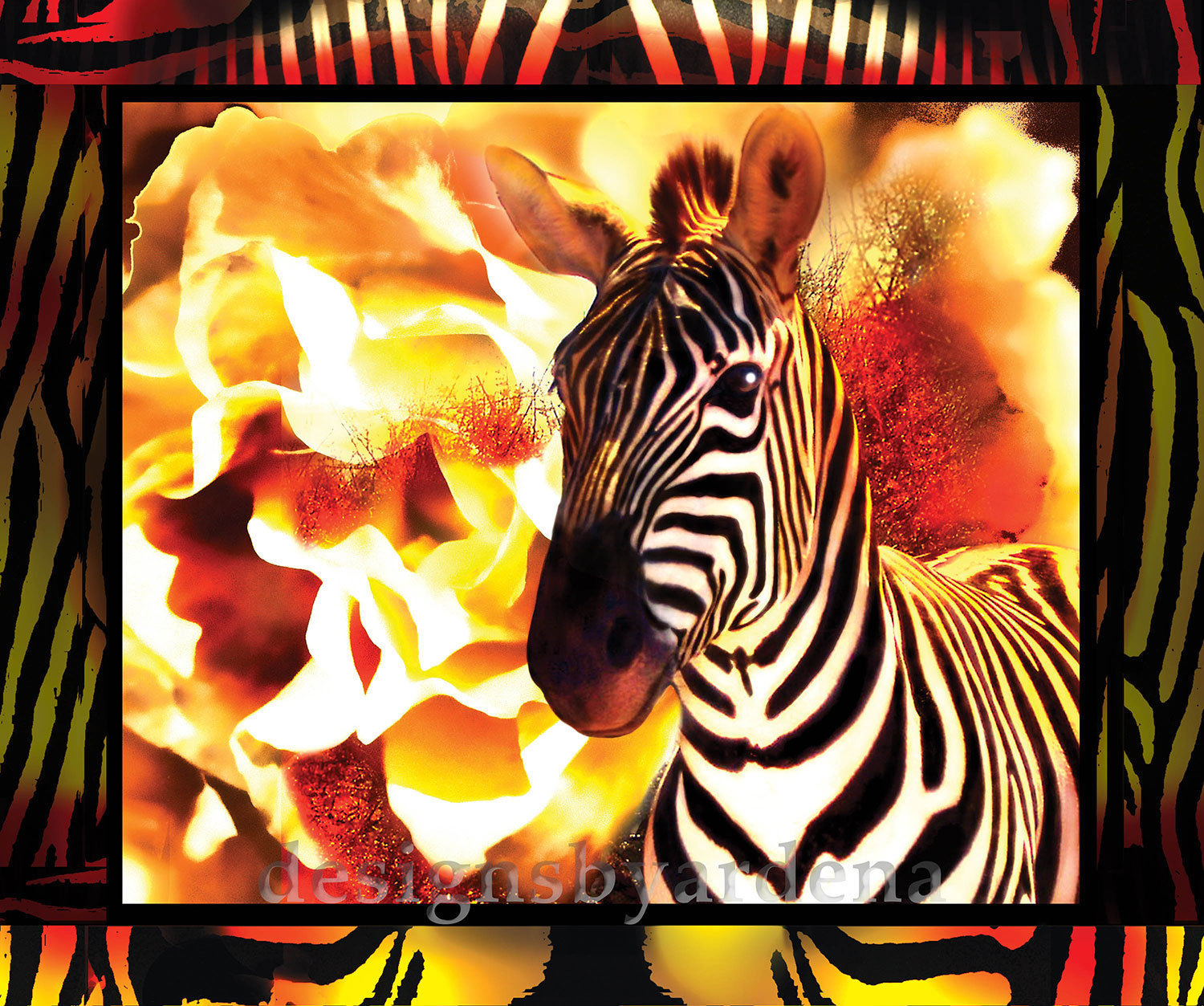 Golden Zebra - Designs By Ardena.